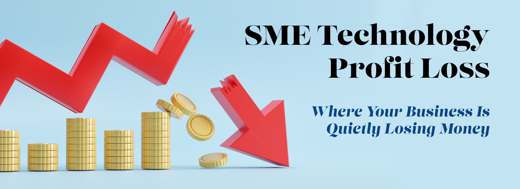 SME technology profit loss